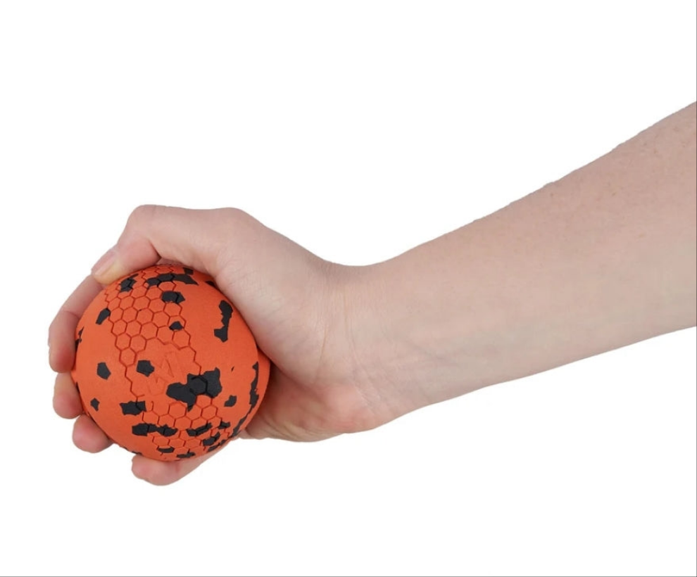 Non-stop dogwear Bolti