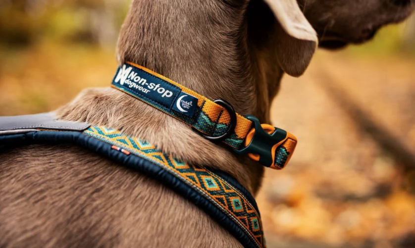 Trail Quest Collar Rachel Pohl Edition