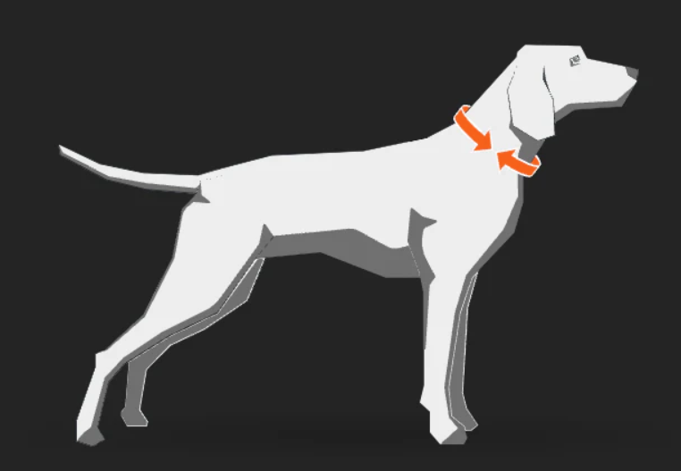 Trail Quest Collar Rachel Pohl Edition