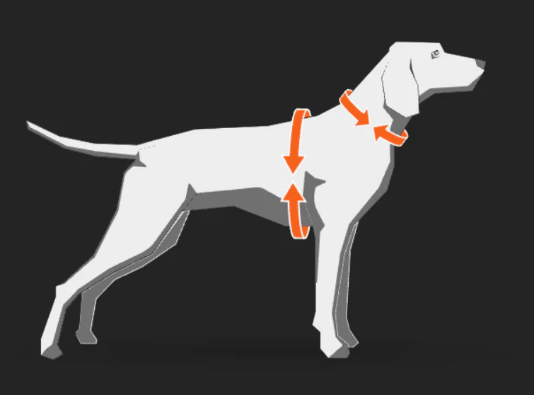 Line Harness 5.0 Rachel Pohl Edition