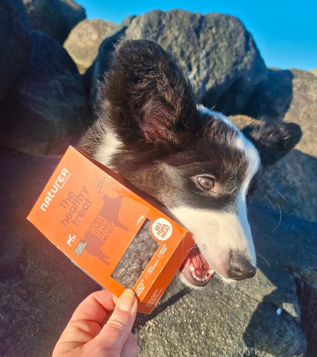 Naturea Hundanammi - Svínalifur Semi-Moist 100g
