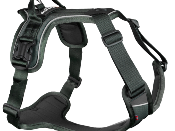 Non-stop dogwear Ramble Harness