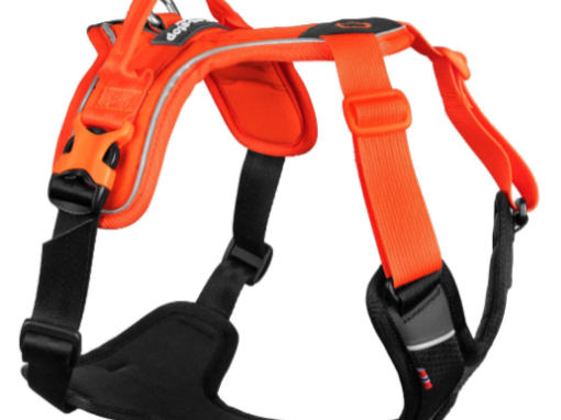 Non-stop dogwear Ramble Harness