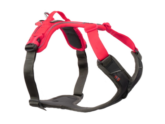 Non-stop dogwear Ramble Harness