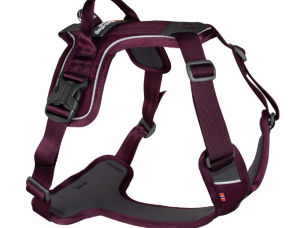 Non-stop dogwear Ramble Harness