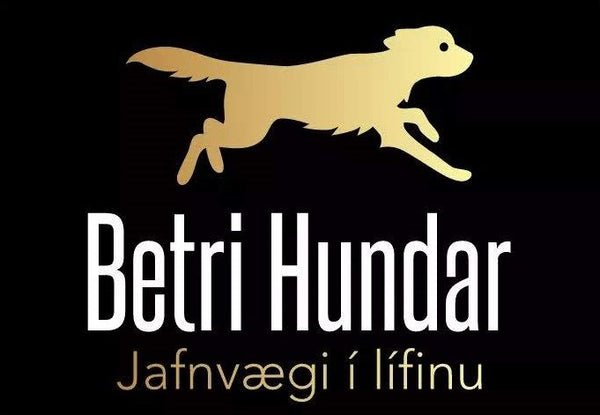 Betri Hundar Vefverslun