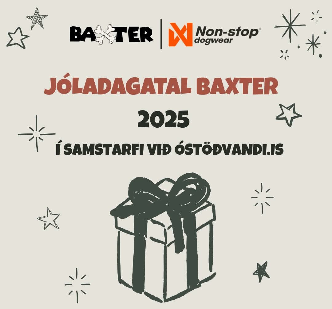 Jóladagatal Baxter 2025