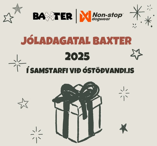 Jóladagatal Baxter 2025