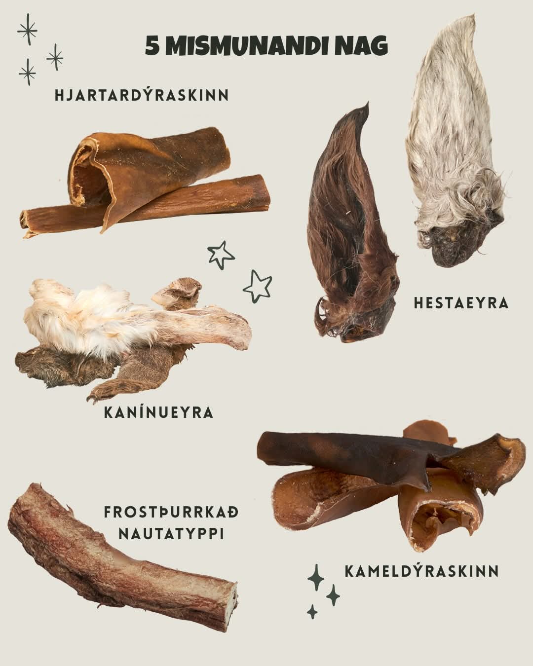 Jóladagatal Baxter 2025